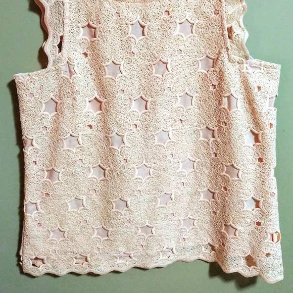 RW & Co | Chic Lace Top - Picture 2 of 3
